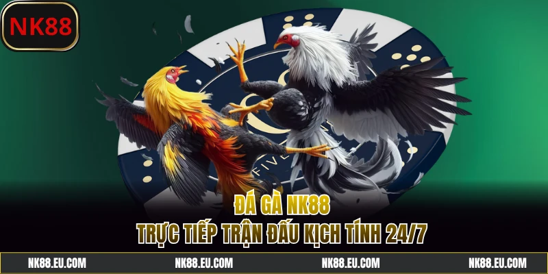 Chơi đá gà NK88 nhiều trận đấu kịch tính, nảy lửa